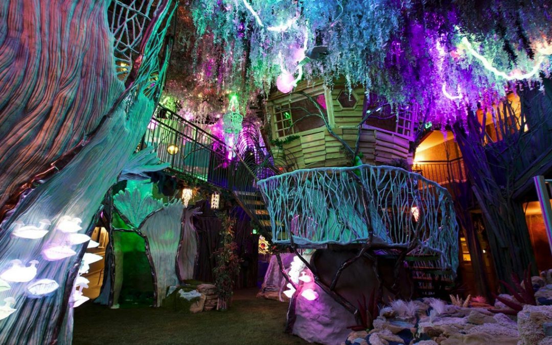 UNM students immerse in Meow Wolf internships