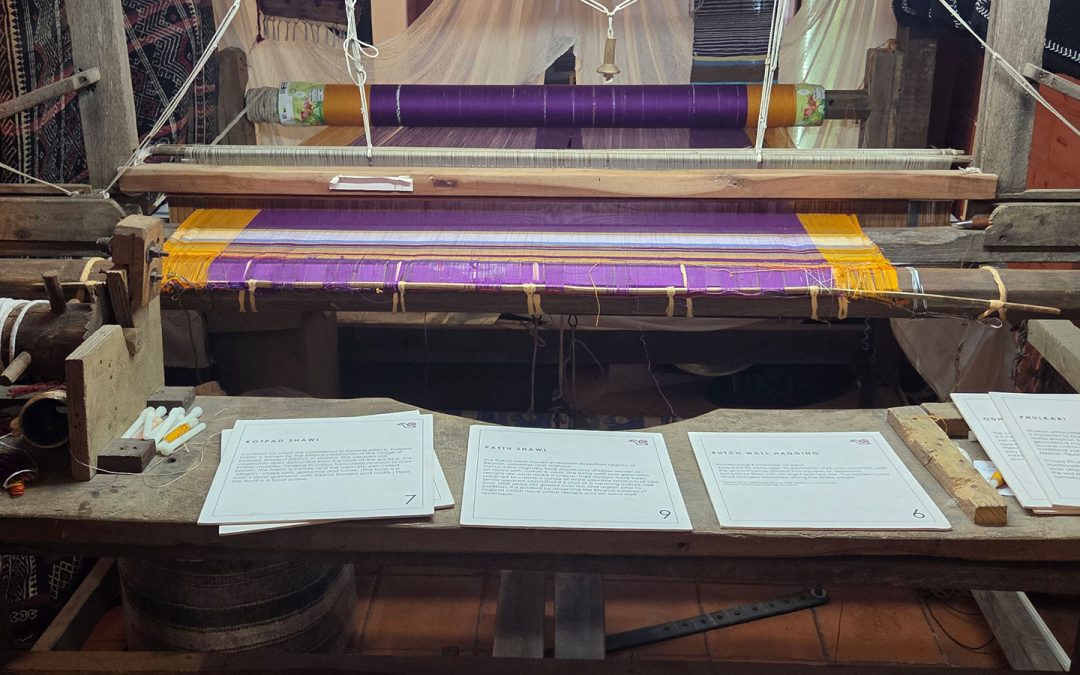 UNM Theatre and Dance Faculty Member Sara Curran Ice accepted to 2026 OISTAT India Research Trip